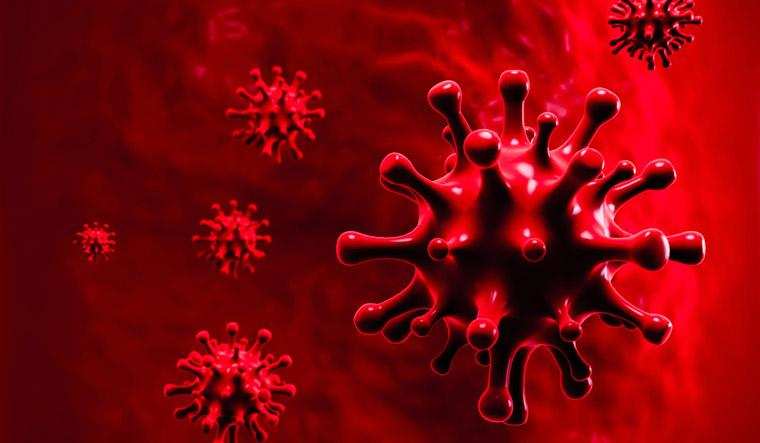राजस्थान के अलवर जिले में मिले 116 नए कोरोना संक्रमित
