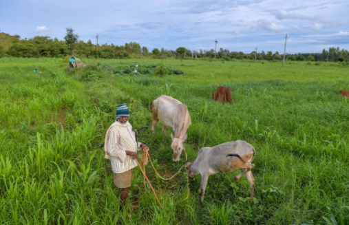 बाधा मुक्त खेती-किसानी , बिचौलियों से मुक्त हुआ किसान