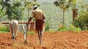 केंद्र की किसान नीतियों के विरोध में प्रदेश की मंडियां एक दिन के लिए बंद, छह सौ करोड का व्‍यापार प्रभावित