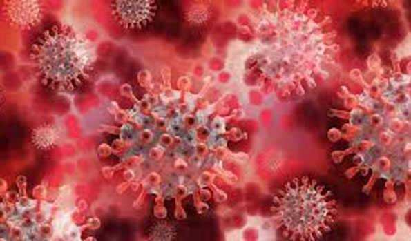 जम्मू-कश्मीर में कोरोना वायरस संक्रमण के 1251 नये मामले, 15 की मौत