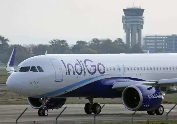 दिल्ली के इंदिरा गांधी अंतरराष्ट्रीय हवाई अड्डे पर भीड़ के बीच Indigo ने जारी की एडवाइजरी, यात्रियों को उड़ान के समय से 3.5 घंटे पहले पहुंचने की सलाह