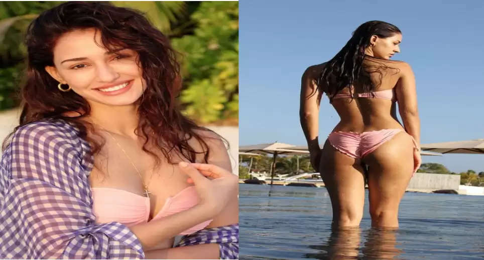 Seeing Disha's hot and glamorous photo, even Tiger Shroff could not stop himself from commenting.