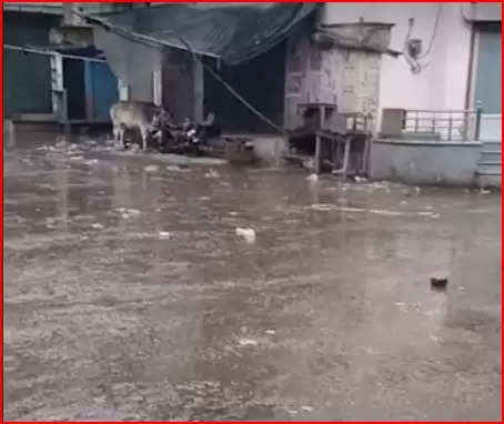 कानपुर में एक घंटे से बारिश:  UP के 65 जिलों में बरसात के साथ ओले गिरने का अलर्ट