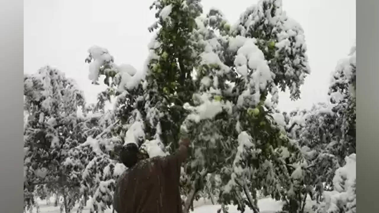  जम्मू-कश्मीर में भारी बारिश, हिमपात का अनुमान