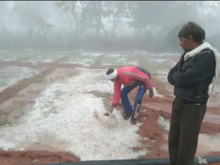 बारिश और ओलावृष्टि से किसानों की परेशानियां बढ़ीं