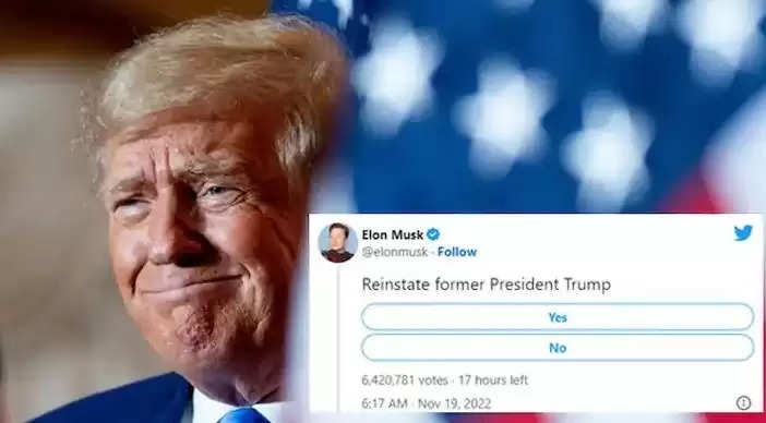 Trump की Twitter वापसी: मस्क ने पब्लिक से मांगी राय, आप भी यहां क्लिक करके दे सकते हैं जवाब