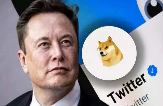 एलन मस्क ने बदला ट्विटर का लोगो, नीली चिड़िया हटाकर लगाई Doge की तस्वीर, यूजर्स हुए हैरान