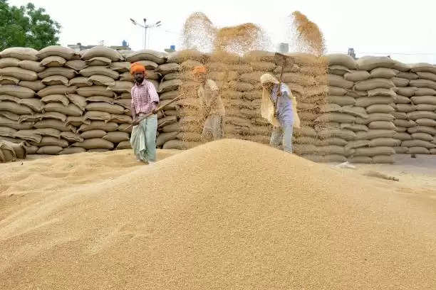 The government banned the export of wheat with immediate effect, know what is the whole matter