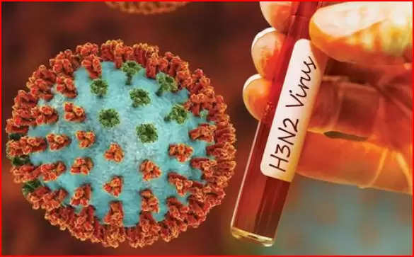 देश में बढ़ रहा इन्फ्लूएंजा H3N2 का खतरा:वायरस से अब तक 9 मौतें; महाराष्ट्र के CM शिंदे आज मीटिंग करेंगे, केंद्र शासित प्रदेश पुदुचेरी में  स्कूल 10 दिन के लिए बंद  