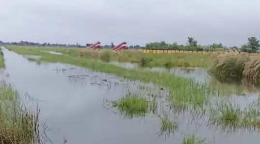 Kushinagar International Airport complex also badly affected by rain, water filled around the runway