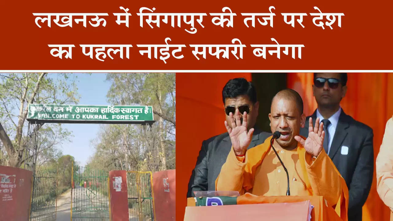 Big decision of Yogi cabinet: The country's first night safari will be built on the lines of Singapore in the capital Lucknow.