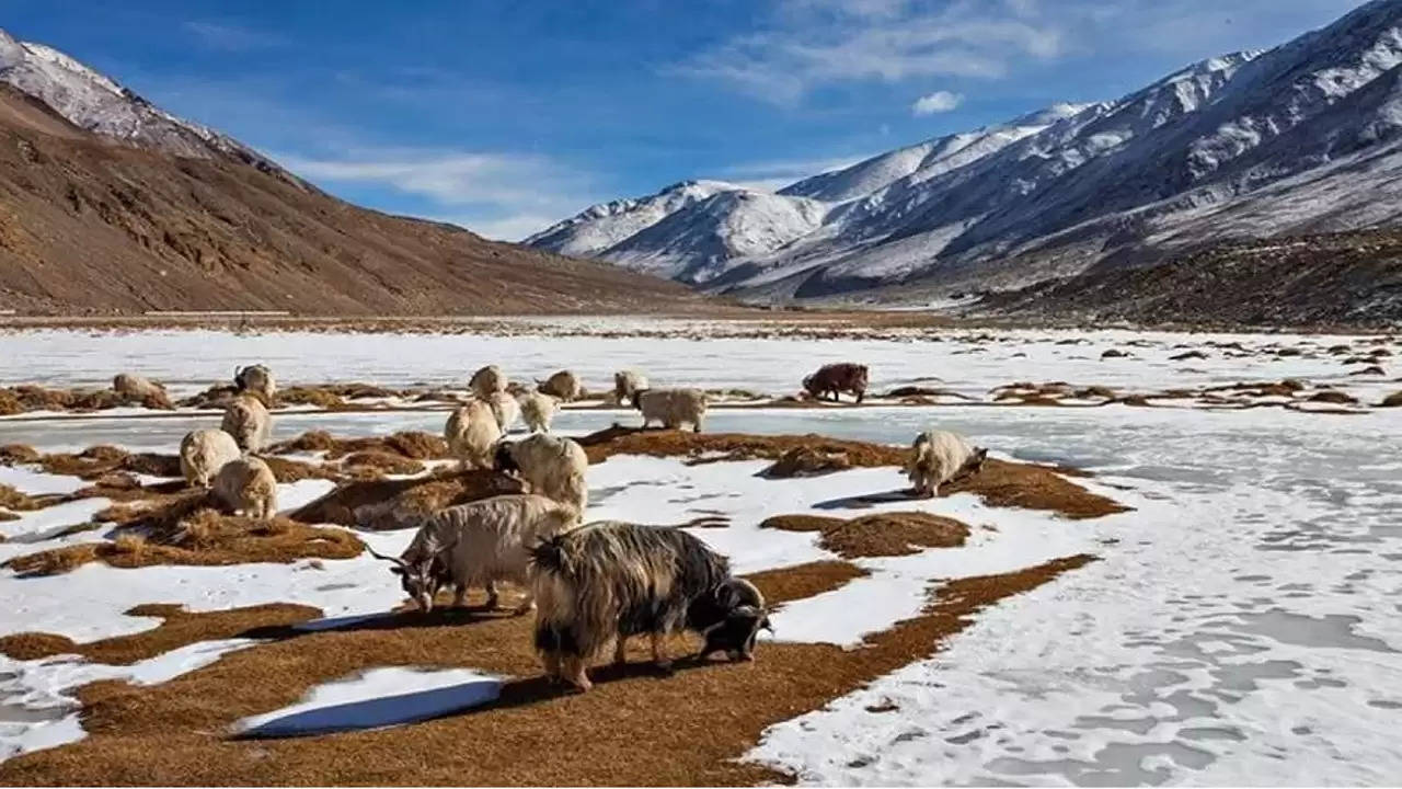 India's first Night Sky Sanctuary to be built at Changthang Wildlife Sanctuary in Ladakh